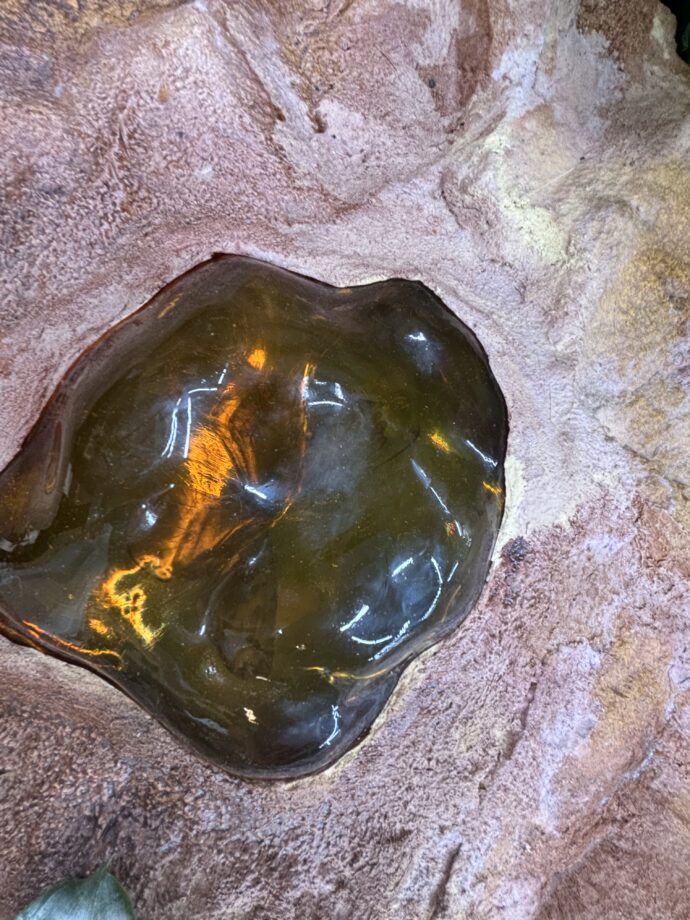 Replika miliony let staré zkameněliny motýla v jantaru. Foto: ©K. Pekařová