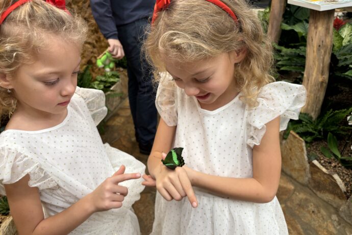 Papilonia Teplice. Foto: © K. Pekařová