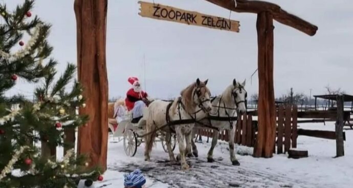 Mikulášská nadílka v Zooparku Zelčín. Foto © Střední Čechy