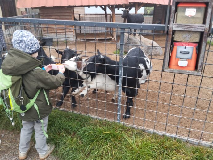 Zvířátkov. Foto © KatBer