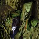 Foto: ©Muzeum pražských pověstí a strašidel