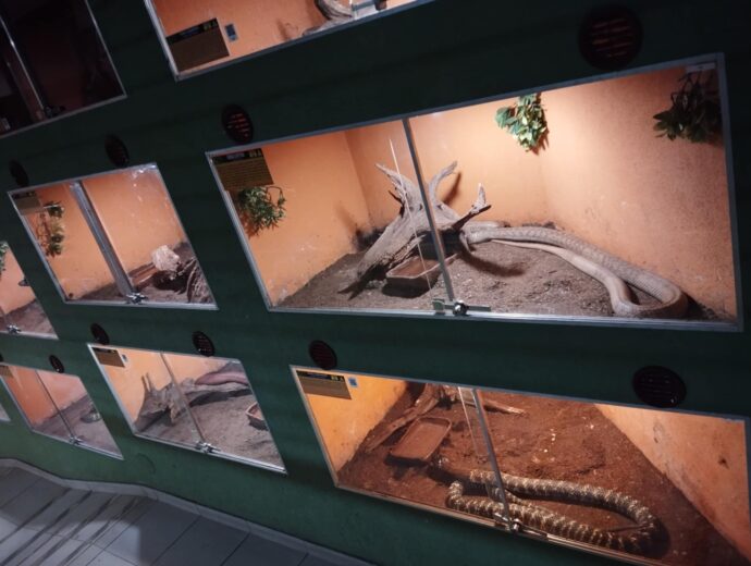 Zoo Dvorec. Foto © KatBer