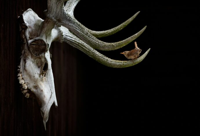 Česká příroda. Foto: ©tomas-grim