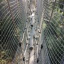 Království lesa Lipno. Foto: ©Sabina Huřťáková