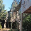 Království lesa Lipno. Foto: ©Sabina Huřťáková