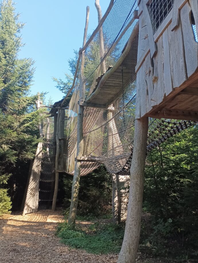 Království lesa Lipno. Foto: ©Sabina Huřťáková