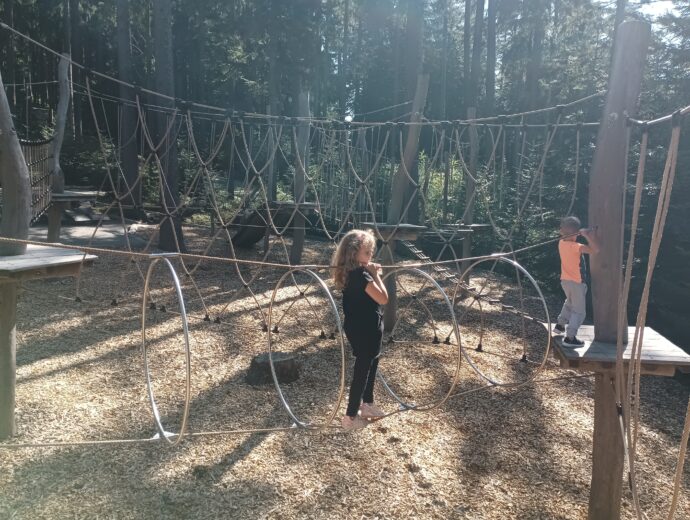 Království lesa Lipno. Foto: ©Sabina Huřťáková