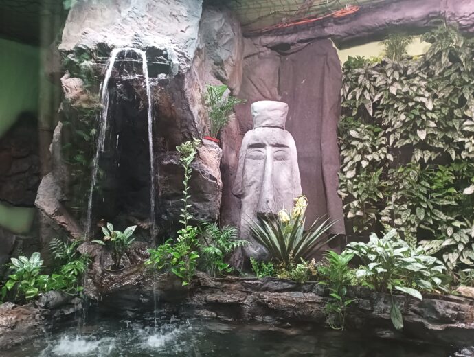 Svět pod hladinou ve Frymburku. Foto: ©Sabina Huřťáková