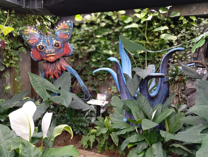 Motýlí dům najdete na břehu lipenské přehrady, přímo v budově plaveckého bazénu Aquaworld Lipno. Foto: ©Sabina Huřťáková