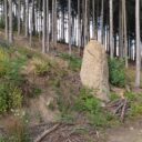 Rozhledna Hradiště u Kaplice, Českokrumlovsko. Foto: ©Sabina Huřťáková