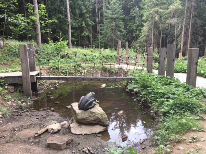 Areál lesních her u Prachatic. Foto: ©Sabina Huřťáková