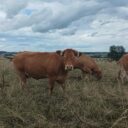 Rozhledna Slabošovka. Foto: ©Sabina Huřťáková