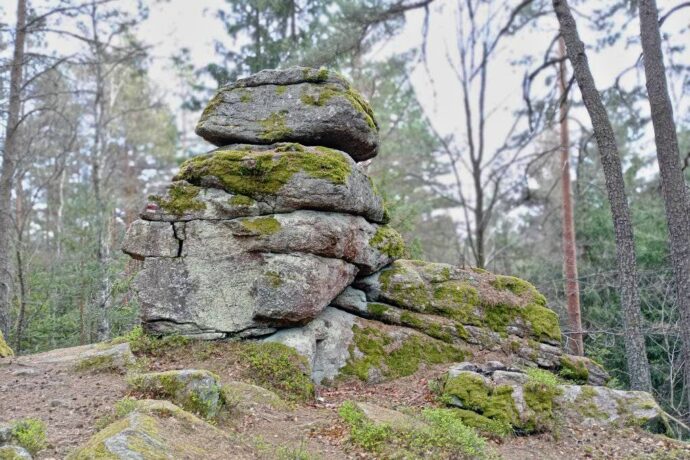 Zaječí vrch u Benešova nad Černou. Foto: ©Sabina Huřťáková