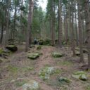 Zaječí vrch u Benešova nad Černou. Foto: ©Sabina Huřťáková