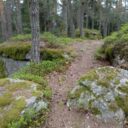 Zaječí vrch u Benešova nad Černou. Foto: ©Sabina Huřťáková