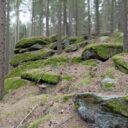 Zaječí vrch u Benešova nad Černou. Foto: ©Sabina Huřťáková