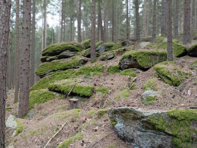 Zaječí vrch u Benešova nad Černou. Foto: ©Sabina Huřťáková