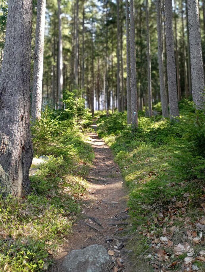 Cesta na poutní místo Maria Rast am Stein. Foto: ©Sabina Huřťáková