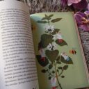 Bylinková babička — Lucie Hlavinková, Alžběta Z. Göbelová. Foto: ©Sabina Huřťáková