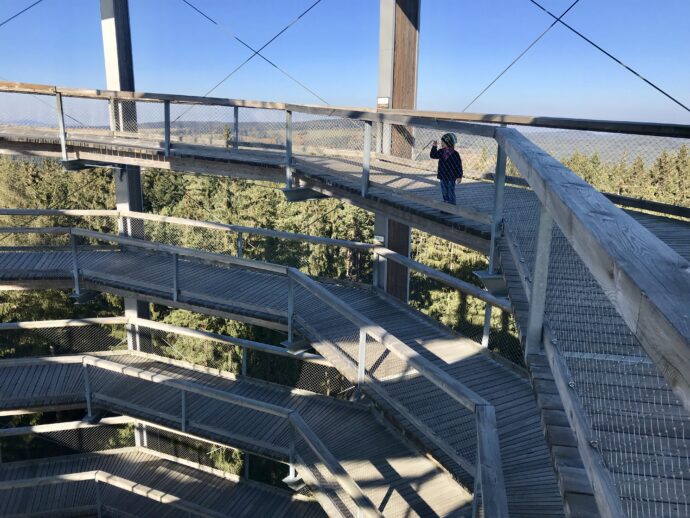 Stezka korunami stromů - Lipno. Foto: ©Šárka Kobrynová