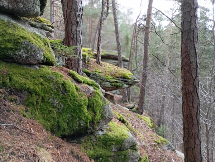 Procházka na zříceninu hradu Sokolčí. Foto: ©Sabina Huřťáková