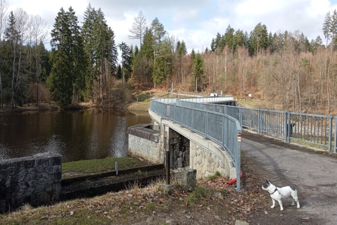 Procházka na zříceninu hradu Sokolčí a přehradu Černá. Foto: ©Sabina Huřťáková