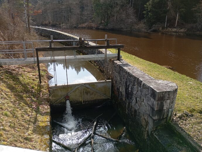 Procházka na zříceninu hradu Sokolčí a přehradu Černá. Foto: ©Sabina Huřťáková