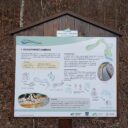 Procházka na zříceninu hradu Sokolčí a přehradu Černá. Foto: ©Sabina Huřťáková