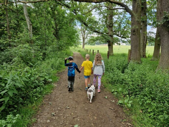 Cesta na hrad Gutštejn je pohodová. Foto: ©Sabina Huřťáková