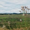 Rozhledna Slabošovka a okolí. Foto: ©Sabina Huřťáková