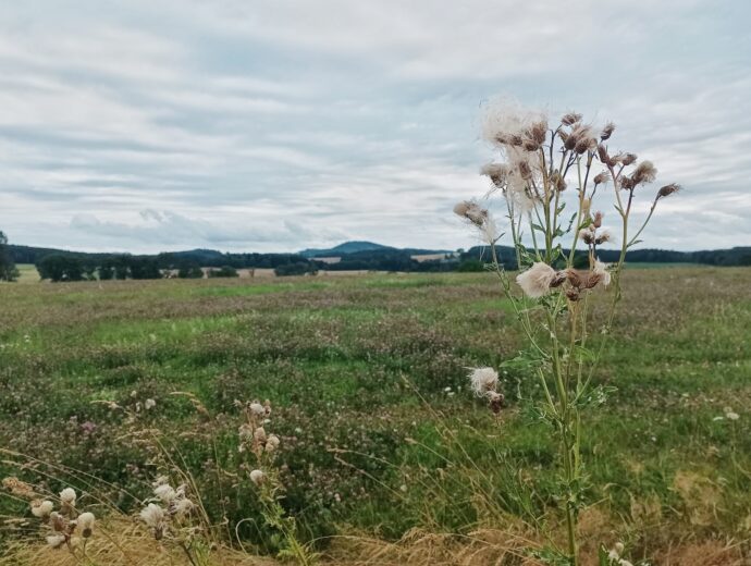 Okolí rozhledny Slabošovka. Foto: ©Sabina Huřťáková