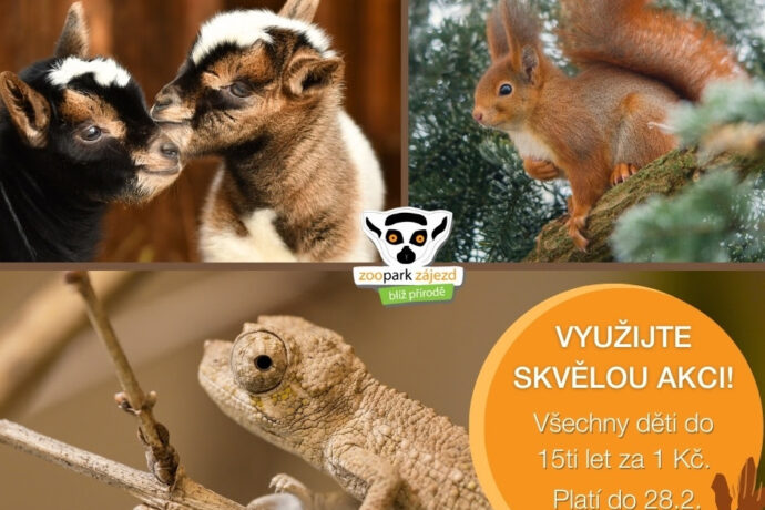 Do Zooparku Zájezd do konce února za korunu
