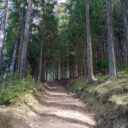 Čártův hrádek. Foto: ©Sabina Huřťáková