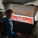 Zámecká lékárna v Třeboni. Foto: ©Sabina Huřťáková