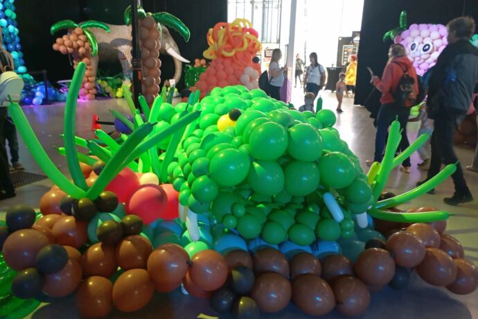 Balónková výstava v Českých Budějovicích. Foto: ©Sabina Huřťáková