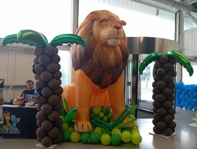 Balónková výstava v Českých Budějovicích. Foto: ©Sabina Huřťáková