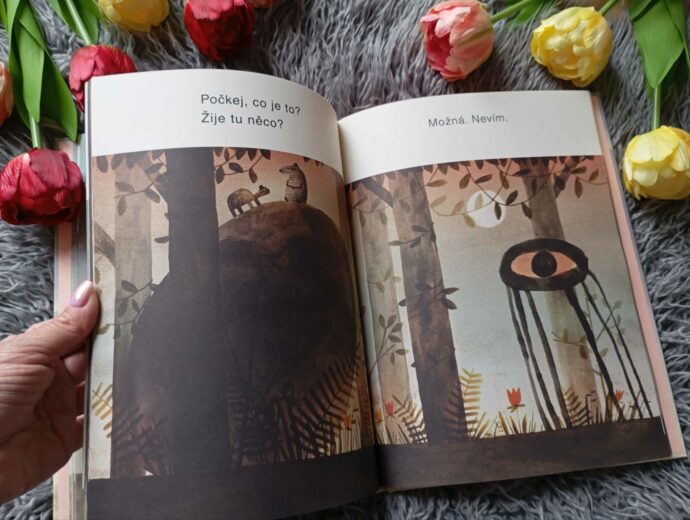 Kámen z nebe. Foto © se svolením Sabinah