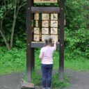 Zřícenina Dívčí kámen a okolí. Foto © se svolením Sabinah