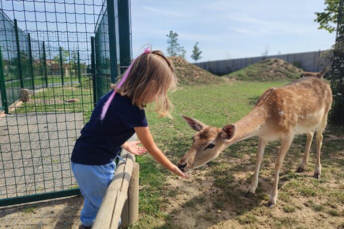 Tip pro milovníky minizoo — Zoopark Nehvizdy vás oslní