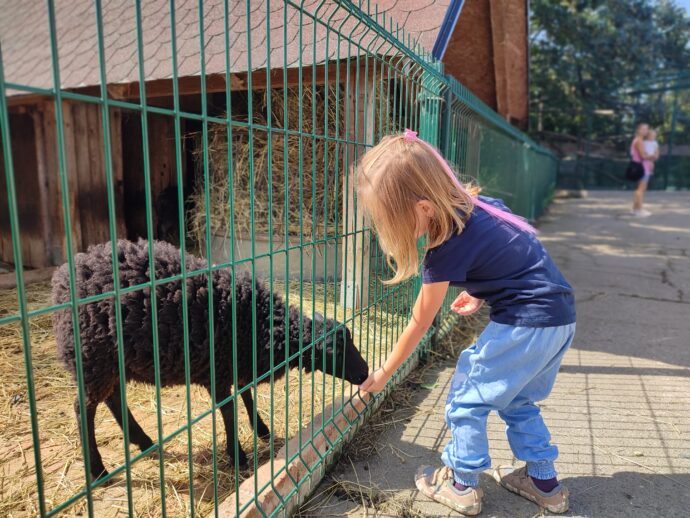 Některá zvířátka lze krmit. Foto ©  se svolením Lucie Stříbrná