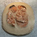 Ausstellung Zwillinge Krems Wachtberg. Foto: (c) Josef Schimmer, MAMUZ Mistelbach