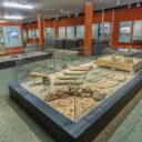 Ausstellung. Foto: (c) Josef Schimmer, MAMUZ Mistelbach