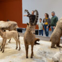 Ausstellung. Foto: (c) Josef Schimmer, MAMUZ Mistelbach