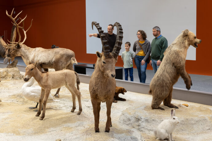 Ausstellung. Foto: (c) Josef Schimmer, MAMUZ Mistelbach