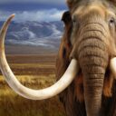 Ausstellung. Foto: (c)MAMUZ Mistelbach