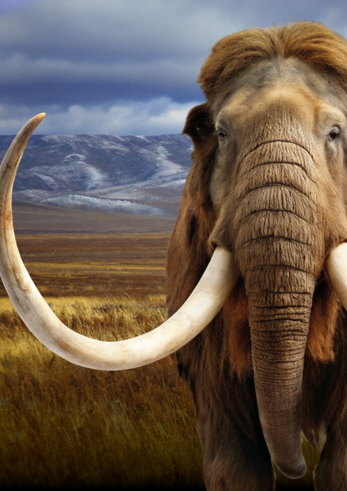 Ausstellung. Foto: (c) MAMUZ Mistelbach