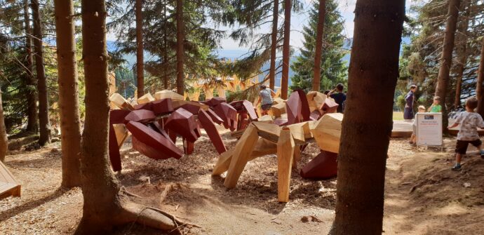 Obří mravenci. Foto © se svolením Lucie Stříbrná