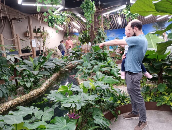 Papilonia. Foto © se svolením Anna Masopustov