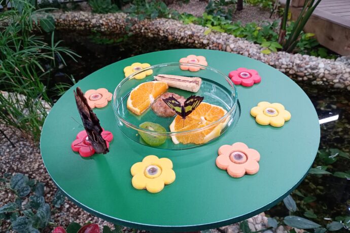 Kam s dětmi v Ostravě? 7 míst, kde se zabaví malí i velcí“