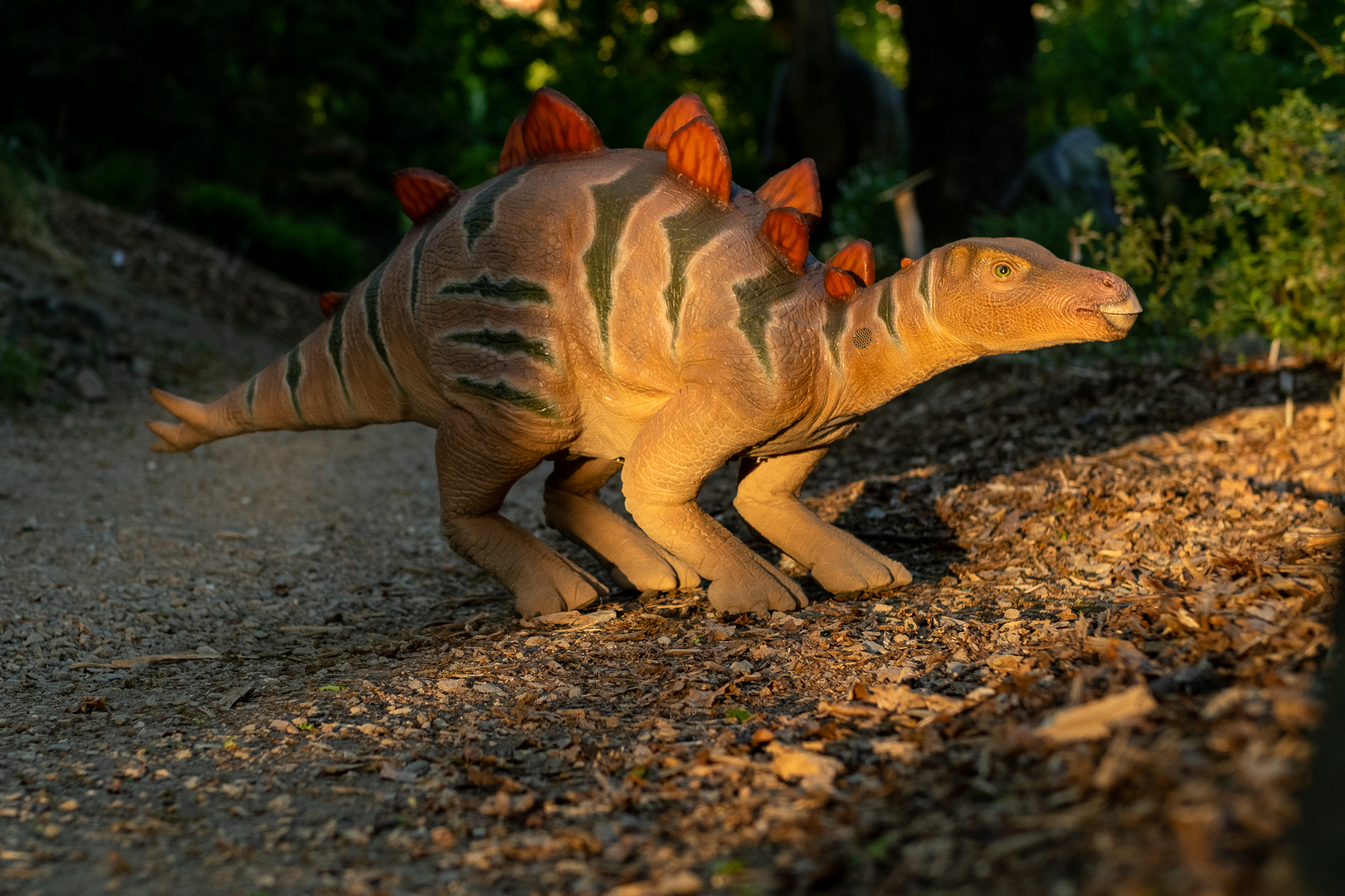 Stegosaurus. Foto: ©DinoPark